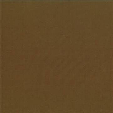 Debonair Ginger by Kasmir Fabric 5039 100% Polyester CHINA Not Tested H: N/A, V: N/A 58 - 60 - Fabric Carolina - Kasmir