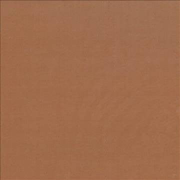 Debonair Golden Brown by Kasmir Fabric 5039 100% Polyester CHINA Not Tested H: N/A, V: N/A 58 - 60 - Fabric Carolina - Kasmir