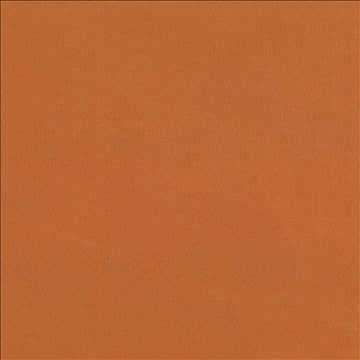 Debonair Harvest by Kasmir Fabric 5039 100% Polyester CHINA Not Tested H: N/A, V: N/A 58 - 60 - Fabric Carolina - Kasmir