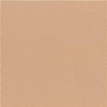 Debonair Honey by Kasmir Fabric 5039 100% Polyester CHINA Not Tested H: N/A, V: N/A 58 - 60 - Fabric Carolina - Kasmir