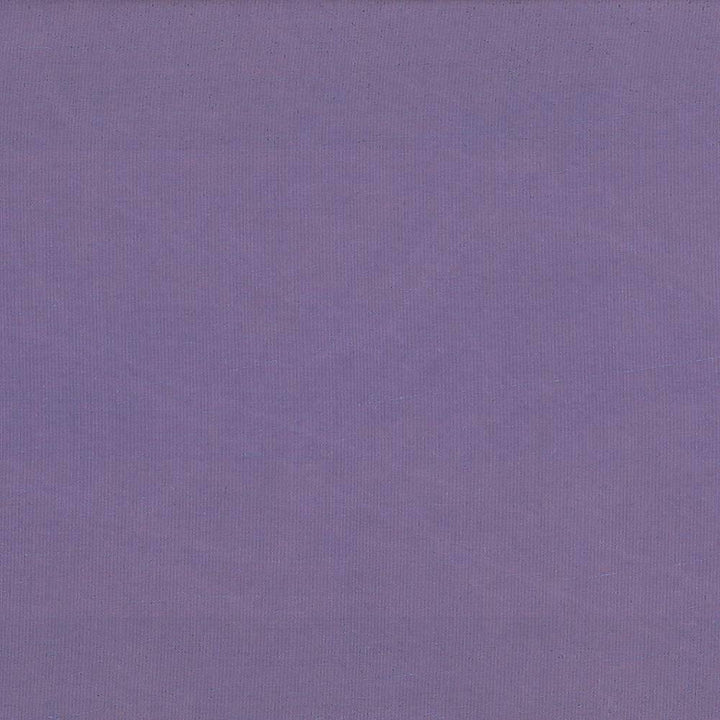 Debonair Infinity by Kasmir Fabric 5039 100% Polyester CHINA Not Tested H: N/A, V:N/A 58 - 60 - Fabric Carolina - Kasmir