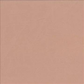 Debonair Latte by Kasmir Fabric 5039 100% Polyester CHINA Not Tested H: N/A, V: N/A 58 - 60 - Fabric Carolina - Kasmir