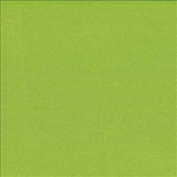 Debonair Lime Green by Kasmir Fabric 5039 100% Polyester CHINA Not Tested H: N/A, V: N/A 58 - 60 - Fabric Carolina - Kasmir