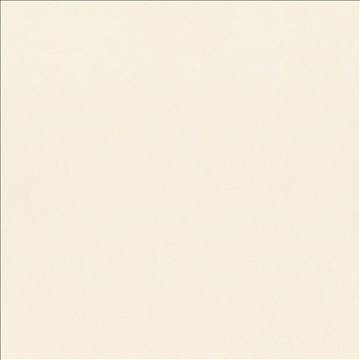 Debonair Parchment by Kasmir Fabric 5039 100% Polyester CHINA Not Tested H: N/A, V: N/A 58 - 60 - Fabric Carolina - Kasmir