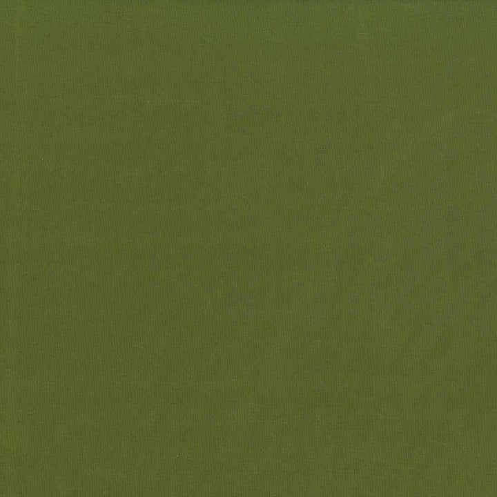 Debonair Pesto by Kasmir Fabric 5039 100% Polyester CHINA Not Tested H: N/A, V:N/A 58 - 60 - Fabric Carolina - Kasmir