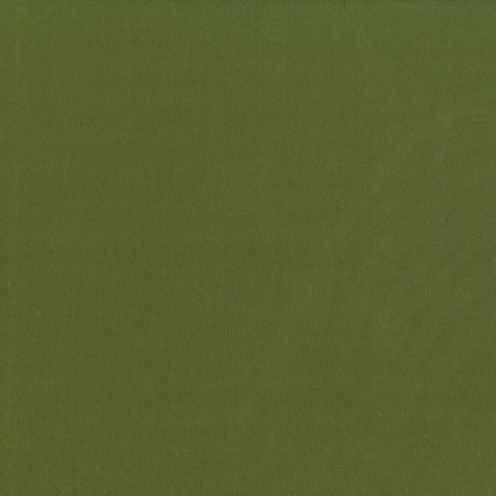 Debonair Pesto by Kasmir Fabric 5039 100% Polyester
 CHINA Not Tested </p><p>Repeat: Horizontal: N/A and Vertical: N/A 58 - Fabric Carolina -