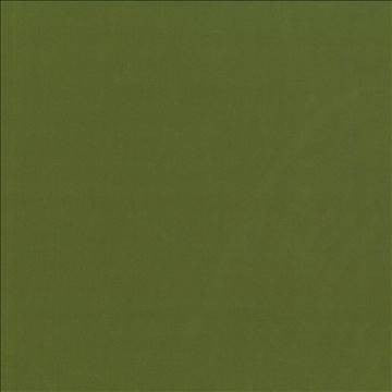 Debonair Pesto by Kasmir Fabric 5039 100% Polyester CHINA Not Tested H: N/A, V: N/A 58 - 60 - Fabric Carolina - Kasmir
