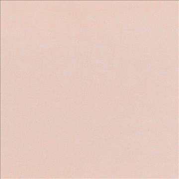 Debonair Sheepskin by Kasmir Fabric 5039 100% Polyester CHINA Not Tested H: N/A, V: N/A 58 - 60 - Fabric Carolina - Kasmir