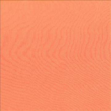 Debonair Sherbet by Kasmir Fabric 5039 100% Polyester CHINA Not Tested H: N/A, V: N/A 58 - 60 - Fabric Carolina - Kasmir