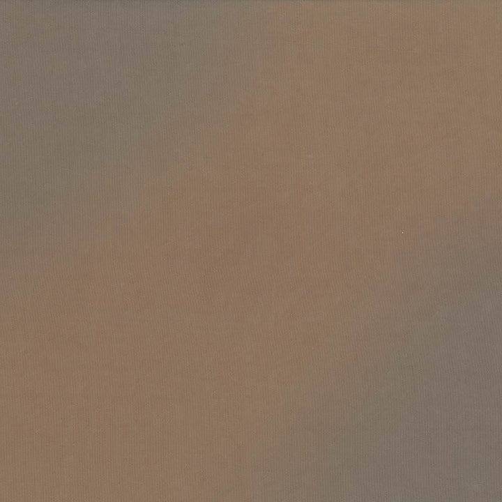 Debonair Sierra by Kasmir Fabric 5039 100% Polyester
 CHINA </p><p>Repeat: Horizontal: N/A and Vertical: N/A 58 - 60 - Fabric Carolina -