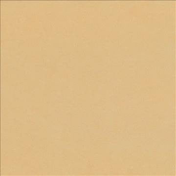 Debonair Taffy by Kasmir Fabric 5039 100% Polyester CHINA Not Tested H: N/A, V: N/A 58 - 60 - Fabric Carolina - Kasmir