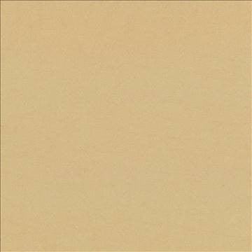 Debonair Wheat by Kasmir Fabric 5039 100% Polyester CHINA Not Tested H: N/A, V: N/A 58 - 60 - Fabric Carolina - Kasmir