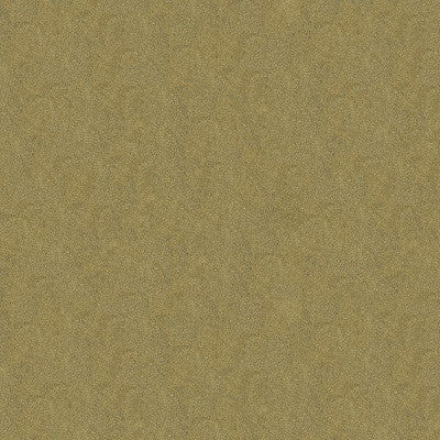 Debut Pumice by Kravet Couture Fabric