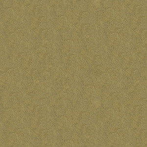 Debut Pumice by Kravet Couture Fabric