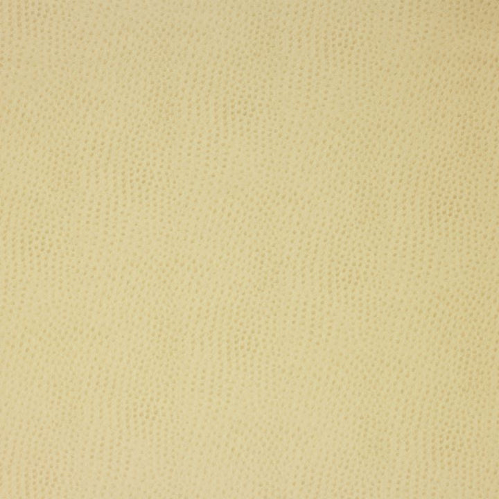 DELANEY.116 by Kravet Design Designer Fabric our website for purchase 100% Leather Korea, Republic of Heavy Horizontal: see sample and Vertical: see sample 54 inches - Swanky Fabrics -