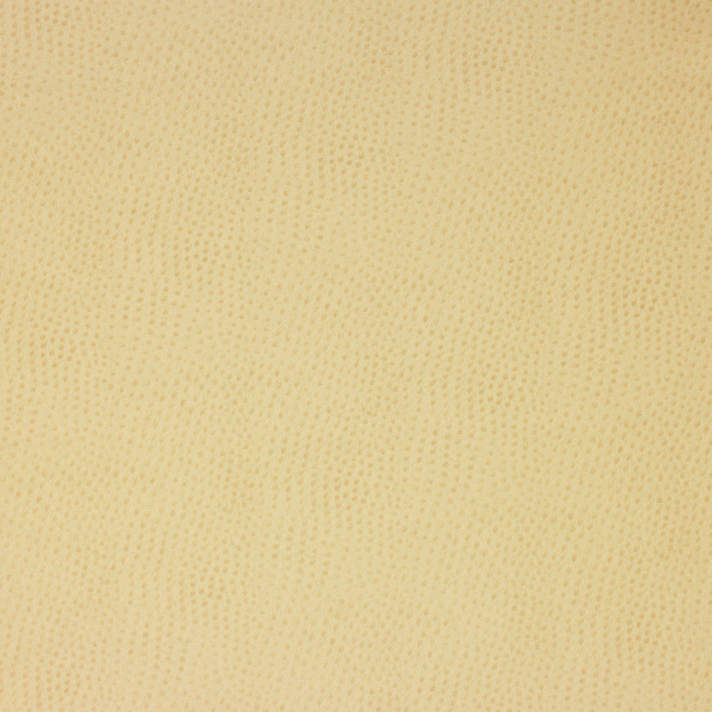 Kravet Design Delaney-116 by Kravet Design Fabric