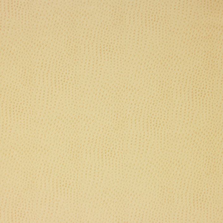 Kravet Design Delaney-116 by Kravet Design Fabric