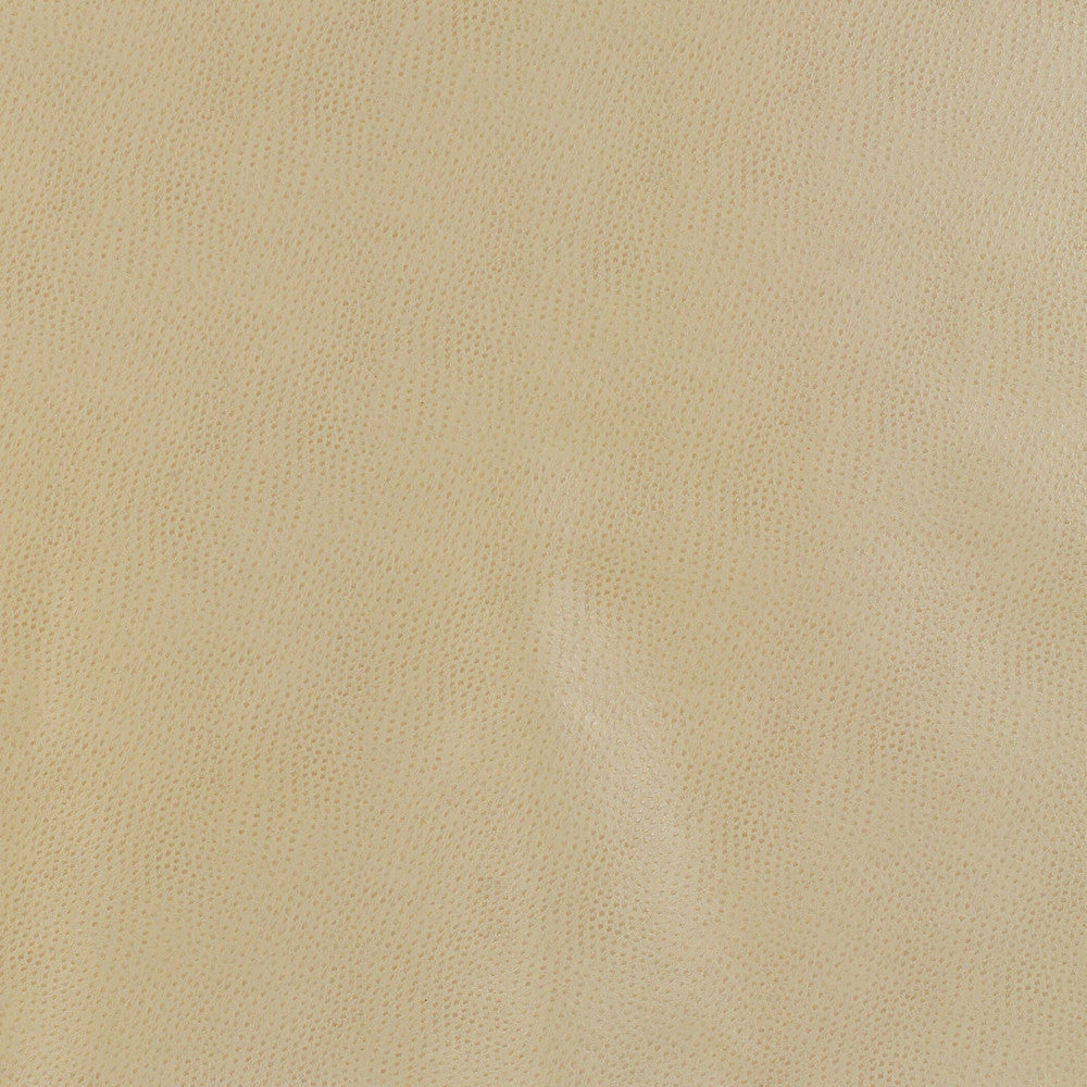 Kravet Design Delaney-16 by Kravet Design Fabric