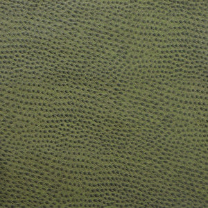 Kravet Design Delaney-3 by Kravet Design Fabric