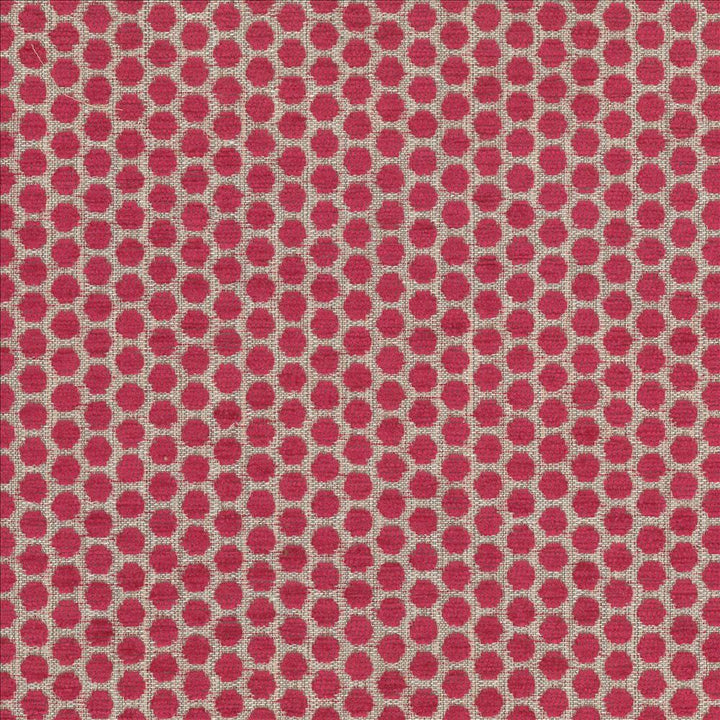 Delightful Dots Fuchsia  by Kasmir Fabric See sample 42% Acrylic
33% Polyester
25% Cotton
 TURKEY 31,000 Martindale Cycles </p><p>Repeat: Horizontal: 1 inches and Vertical: 5/8 inches 54  - Fabric Carolina -