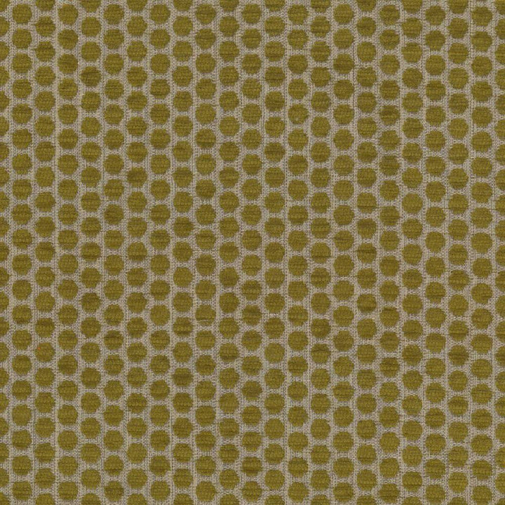 Delightful Dots Sprout by Kasmir Fabric 1442 42% Acrylic 33% Polyester 25% Cotton TURKEY 31,000 Martindale Cycles H: 1 inches, V:5/8 inches 54 - Fabric Carolina - Kasmir