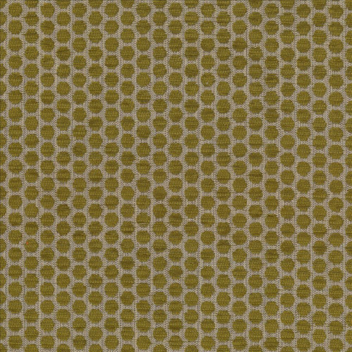 Delightful Dots Sprout by Kasmir Fabric 1442 42% Acrylic
33% Polyester
25% Cotton
 TURKEY </p><p>Repeat: Horizontal: 1 inches and Vertical: 5/8 inches 54 - Fabric Carolina -