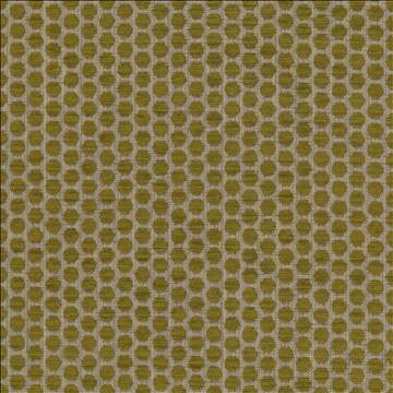 Delightful Dots Sprout by Kasmir Fabric 1442 42% Acrylic 33% Polyester 25% Cotton TURKEY 31,000 Martindale Cycles H: 1 inches, V: 5/8 inches 54 - Fabric Carolina - Kasmir