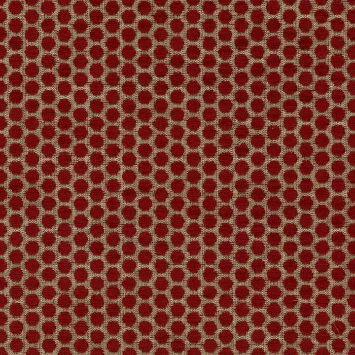 Delightful Dots Lipstick by Kasmir Fabric 1440 42% Acrylic
33% Polyester
25% Cotton
 TURKEY </p><p>Repeat: Horizontal: 1 inches and Vertical: 5/8 inches 54 - Fabric Carolina -