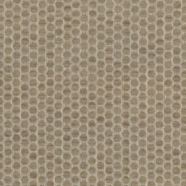 Delightful Dots Pewter by Kasmir Fabric 1437 42% Acrylic
33% Polyester
25% Cotton
 TURKEY </p><p>Repeat: Horizontal: 1 inches and Vertical: 5/8 inches 54 - Fabric Carolina -