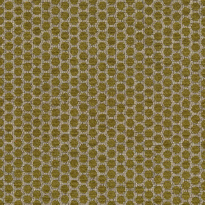 Delightful Dots Sprout by Kasmir Fabric 1442 42% Acrylic
33% Polyester
25% Cotton
 TURKEY </p><p>Repeat: Horizontal: 1 inches and Vertical: 5/8 inches 54 - Fabric Carolina -