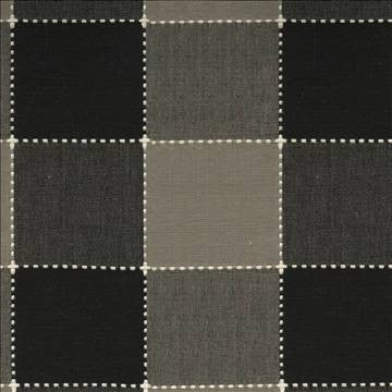 Deloche Check Charcoal by Kasmir Fabric 1399 100% Cotton INDIA 6,000 Wyzenbeek Double Rubs H: 6 inches, V: 6 inches 54 - Fabric Carolina - Kasmir