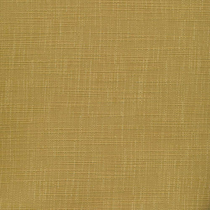 Deloche Texture Golden by Kasmir Fabric 8003 75% Polyester 25% Viscose CHINA 30,000 Wyzenbeek Double Rubs H: N/A, V:N/A 54 - 56 - Fabric Carolina - Kasmir