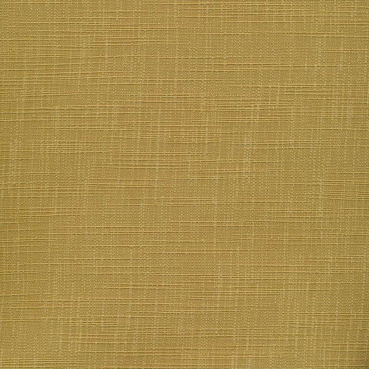Deloche Texture Golden by Kasmir Fabric 8003 75% Polyester
25% Viscose
 CHINA </p><p>Repeat: Horizontal: N/A and Vertical: N/A 54 - 56 - Fabric Carolina -