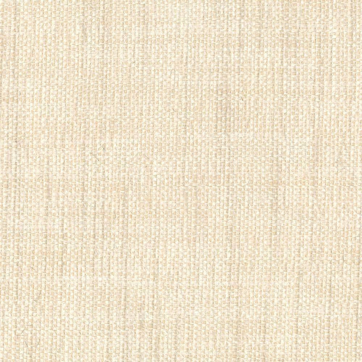 Deming Chiffon by Kasmir Fabric 1407 58% Rayon 42% Acrylic CHINA 22,000 Wyzenbeek Double Rubs H: N/A, V:N/A 57 - Fabric Carolina - Kasmir