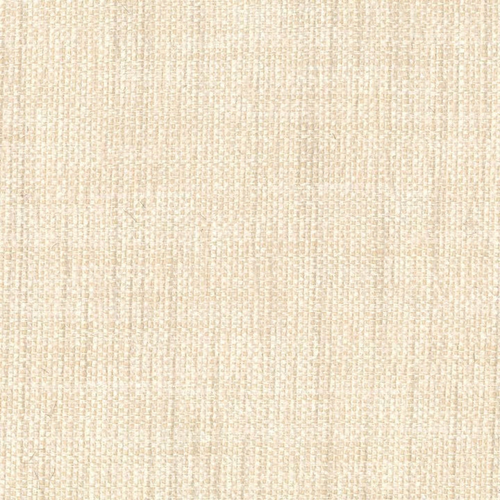 Deming Chiffon by Kasmir Fabric 1407 58% Rayon
42% Acrylic
 CHINA </p><p>Repeat: Horizontal: N/A and Vertical: N/A 57 - Fabric Carolina -