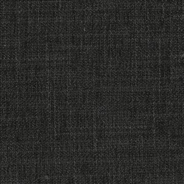 Deming Noir by Kasmir Fabric 1407 58% Rayon 42% Acrylic CHINA 22,000 Wyzenbeek Double Rubs H: N/A, V: N/A 57 - Fabric Carolina - Kasmir