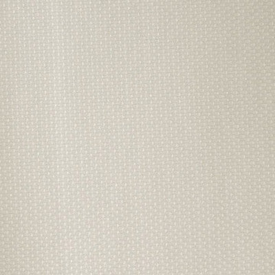 Dempo Champagne by Kravet Design Fabric