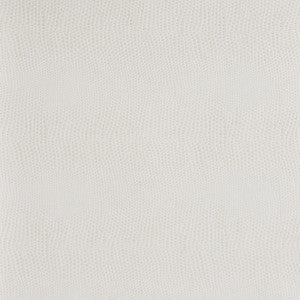 Kravet Design Derek-1 by Kravet Design Fabric