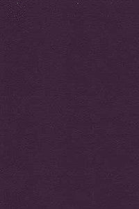 Kravet Design Desire-10 by Kravet Design Fabric