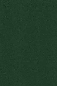 Kravet Design Desire-3 by Kravet Design Fabric