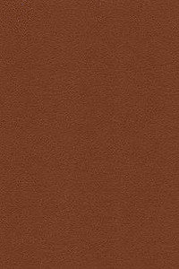 Kravet Design Desire-6 by Kravet Design Fabric