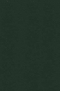 Kravet Design Desire-83 by Kravet Design Fabric