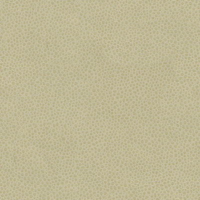 Details Shiitake by Kravet Couture Fabric