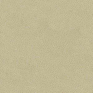 Details Shiitake by Kravet Couture Fabric