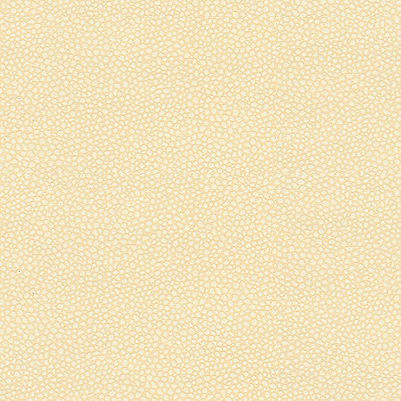 Details Ecru by Kravet Couture Fabric