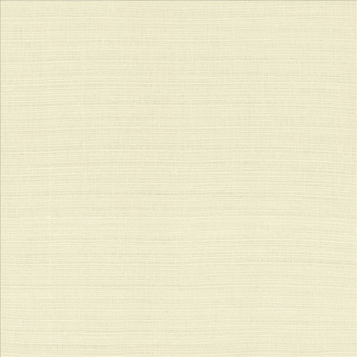 Deveraux Ivory by Kasmir Fabric 1459 100% Linen
 INDIA 5,000 Wyzenbeek Double Rubs </p><p>Repeat: Horizontal: N/A and Vertical: N/A 54 - Fabric Carolina -