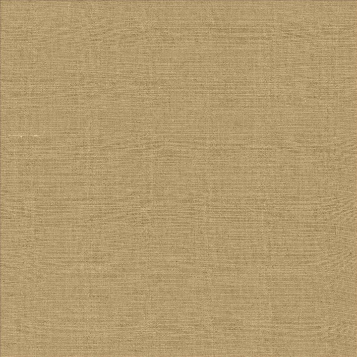 Deveraux Natural by Kasmir Fabric 1459 100% Linen
 INDIA 5,000 Wyzenbeek Double Rubs Horizontal: N/A and Vertical: N/A 54 - Fabric Carolina -
