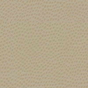 Dewdrops Sand by Kravet Design Fabric