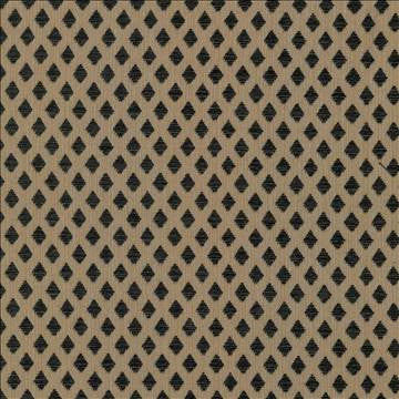 Diamond Broker Black by Kasmir Fabric 5068 100% Polyester CHINA 25,000 Wyzenbeek Double Rubs H: 6/8 inches, V: 1 4/8 inches 56 - 59 - Fabric Carolina - Kasmir