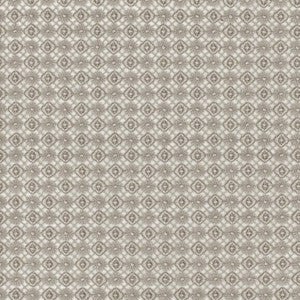 Diamond Jubilee Silver by Kasmir Fabric
